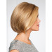 HIGH SOCIETY BY EVA GABOR - LACE FRONT + MONO PART