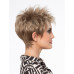 IVY BY ENVY, wigbeauty.co.za