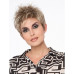 IVY BY ENVY, wigbeauty.co.za