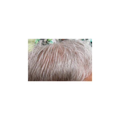 THE SENSATION - HUMAN HAIR - MENS HAIR PIECES THE SENSATION - HUMAN HAIR - MENS HAIR PIECES